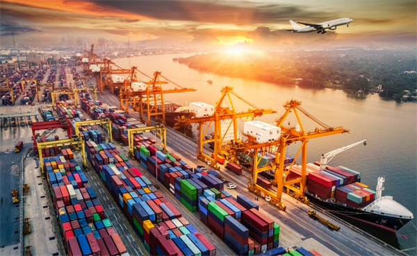 Logistics Là Nghề Gì? Chia Sẻ Trải Nghiệm Thực Tế Về Nghề Logistics