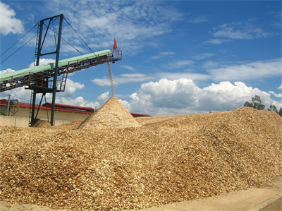 Wood Chips1