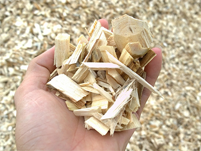 Wood Chips2