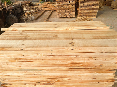 Pine Timber - Pine Timber110